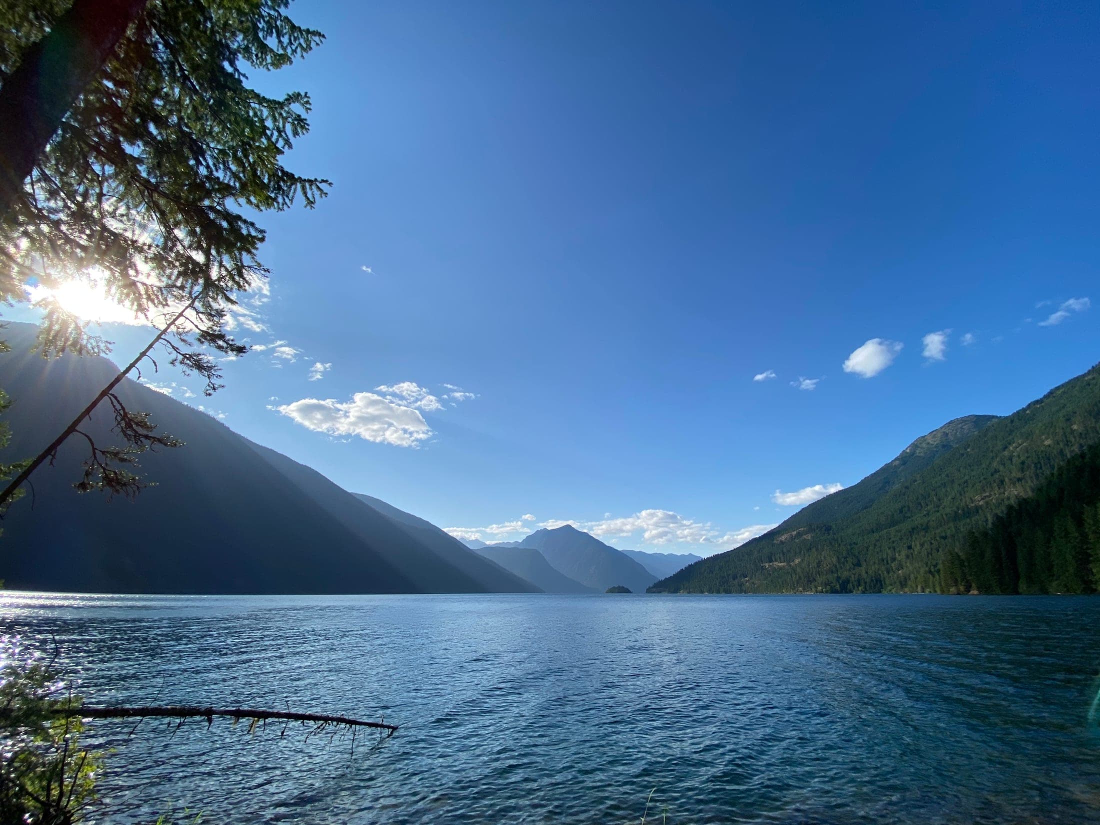 Sunlight filtering through evergreen branches over a lake surrounded by forested mountains.